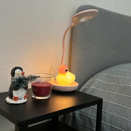 Appartement Au Coeur 스트라스부르 외부 사진