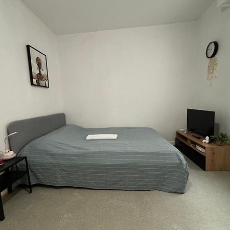 Appartement Au Coeur 스트라스부르 외부 사진